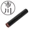 mini photo