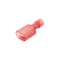 mini photo