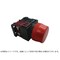 mini photo