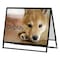 mini photo