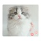 mini photo