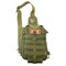 mini photo