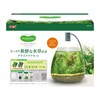 MeGreen 新鮮な水草付きセット