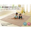 イケヒコリラ