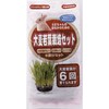 うさちゃん用大麦若葉栽培セット