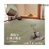 フリーカット い草 上敷き カーペット