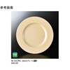 24cm プレート シャンパンゴールド