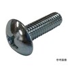 トラス頭小ねじ 鉄
