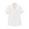 レディスレギュラーカラー半袖ブラウス