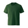 JT302S 国産極みTシャツ グリーン