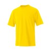 T301 サンマルタンTシャツ イエロー