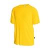 4.3オンスドライTシャツ(ポリジン加工)