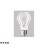 一般球 100V