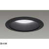 一体形DL1000一般形黒色 LEKD10013FWK