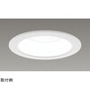一体形DL1000一般形白色 LEKD10013FWW