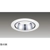 1000ユニット交換形DL銀色鏡面 LEKD102023WV