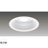 1000ユニット交換形DL一般形 LEKD102024L2