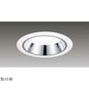 1000ユニット交換形DL銀色鏡面 LEKD102024WWV