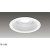 1000ユニット交換形DL一般形 LEKD103024L2