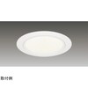 1000ユニット交換形DL白色深形 LEKD1033024L2