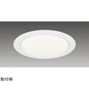 1000ユニット交換形DL白色深形 LEKD1033025W