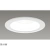 一体形DL1500一般形白色 LEKD15013FWW