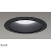 一体形DL2500一般形黒色 LEKD25011FLK