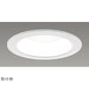 一体形DL2500一般形白色 LEKD25011FL