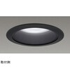 一体形DL2500一般形黒色 LEKD25011FWWK