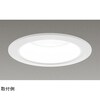 一体形DL2500一般形白色 LEKD25013FL