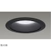 一体形DL2500一般形黒色 LEKD25013FNK