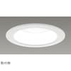 一体形DL2500一般形白色 LEKD25013FW