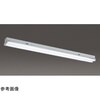 直管ランプシステム笠付2灯