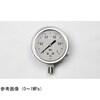 グリセリン入圧力計(100Φ) GV42−243