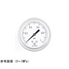 グリセリン入圧力計(60Φ) GV55−173