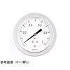 グリセリン入圧力計(75Φ) GV56−133
