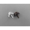 波板用ビス(木下地用/100個)5x35mm