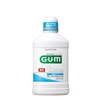 GUMデンタルリンス爽快タイプ