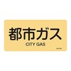 ihrzǎʖXebJ[R^Cv@ussKXv