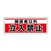 SWi݂艺^j