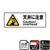 天井注意