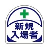 ʃohpXebJ[