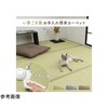 洗える ござ風カーペット