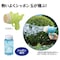 ECOouK@CG[