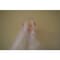 mini photo