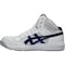 mini photo