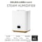 スチーム式加湿器