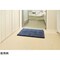 SUSU 抗菌ストロングWバスマットEC
