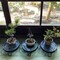 mini photo