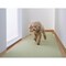ペットマット ペット用 床保護マット 60×240cm